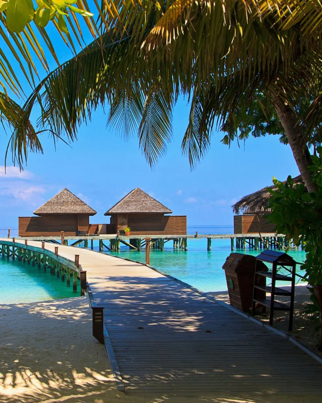 maldives trip